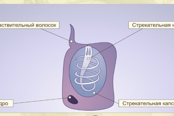 Кракен сайт маркетплейс